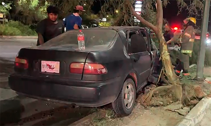 Derriba automóvil un árbol tras choque