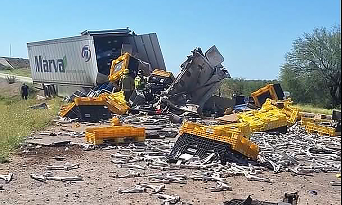 Resulta chofer herido al volcar tráiler en la entrada sur de la ciudad