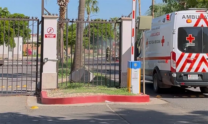 Deja ataque de abejas dos personas heridas en el fraccionamiento Encantada Residencial