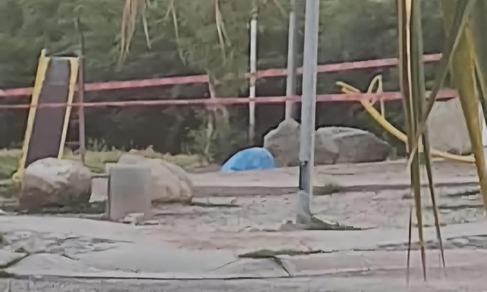 Abandonan cadáver de hombre en un parque en la colonia Vista Real