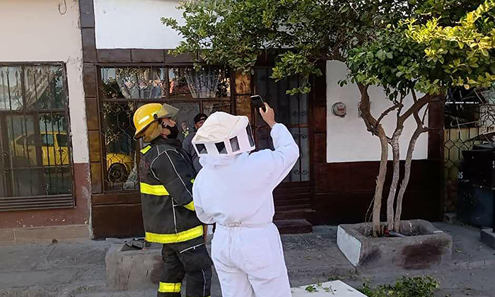 Atienden Bomberos 211 casos por enjambres