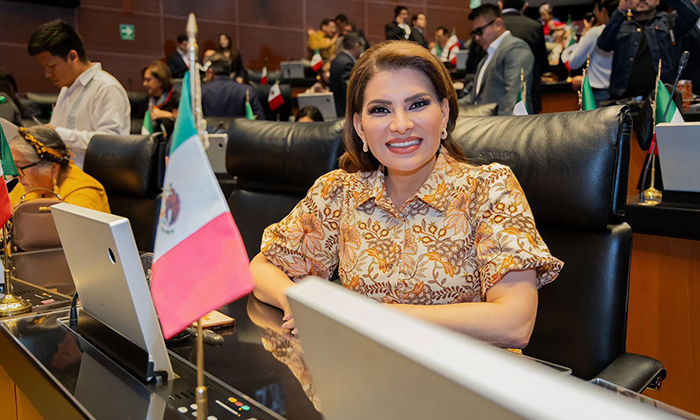 Programas de Bienestar no son un gasto, sino inversión; Afirma la senadora Lorenia Valles