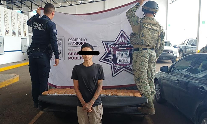 Aseguran material ilícito en Sonora