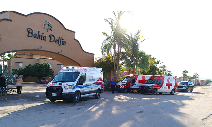 Muere expolicía atacado por abejas en Quetchehueca