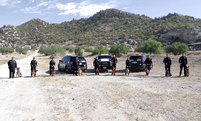 Cuenta Seguridad Pública con Unidad Especializada K-9 en Sonora