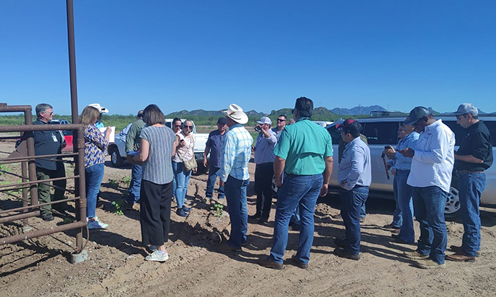 Inicia personal de USDA inspección de ganado