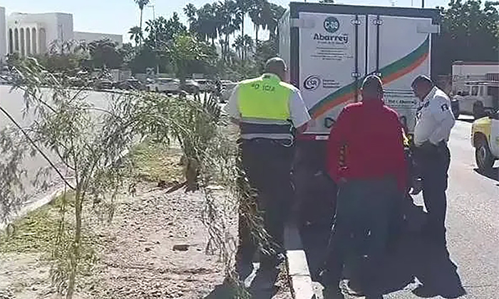 Embiste auto a estudiante al cruzar bulevar