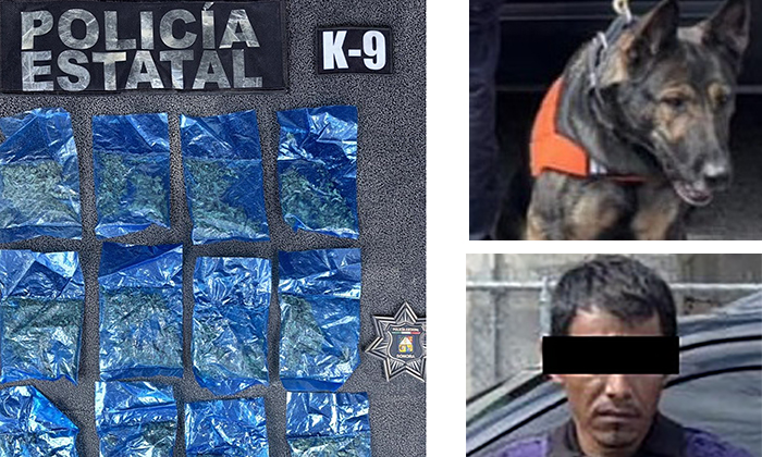 Decomisan narcótico en operativo por Hermosillo