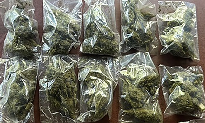 Detienen a pareja en posesión de “mota” en la colonia Villa del Real