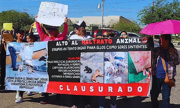 Se manifiestan ambientalistas en Día de los Animales