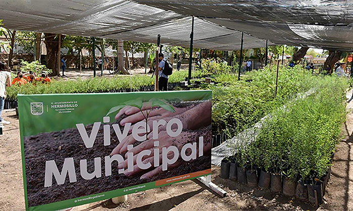 Donarán árboles nativos en horario especial mañana viernes; Vivero Municipal