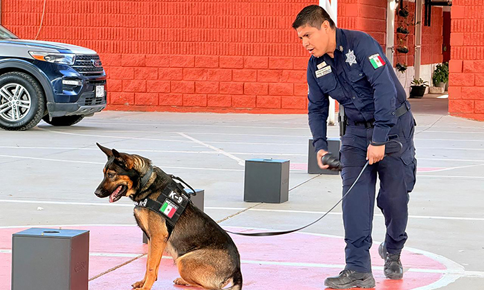 Realiza PESP labores de prevención del delito en la colonia Los Olivos