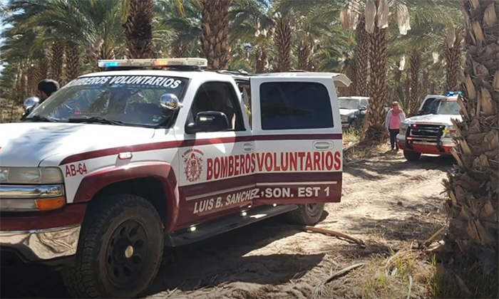 Se lesionan cortadores de dátiles en San Luis Río Colorado