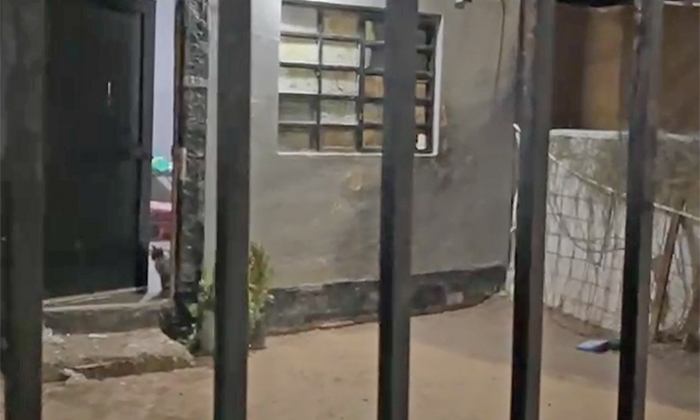 Resulta mujer herida en ataque armado en la colonia Los Olivos