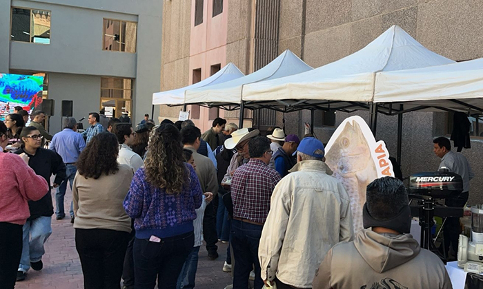 Promueven consumo de tilapia en Sonora durante muestra gastronómica