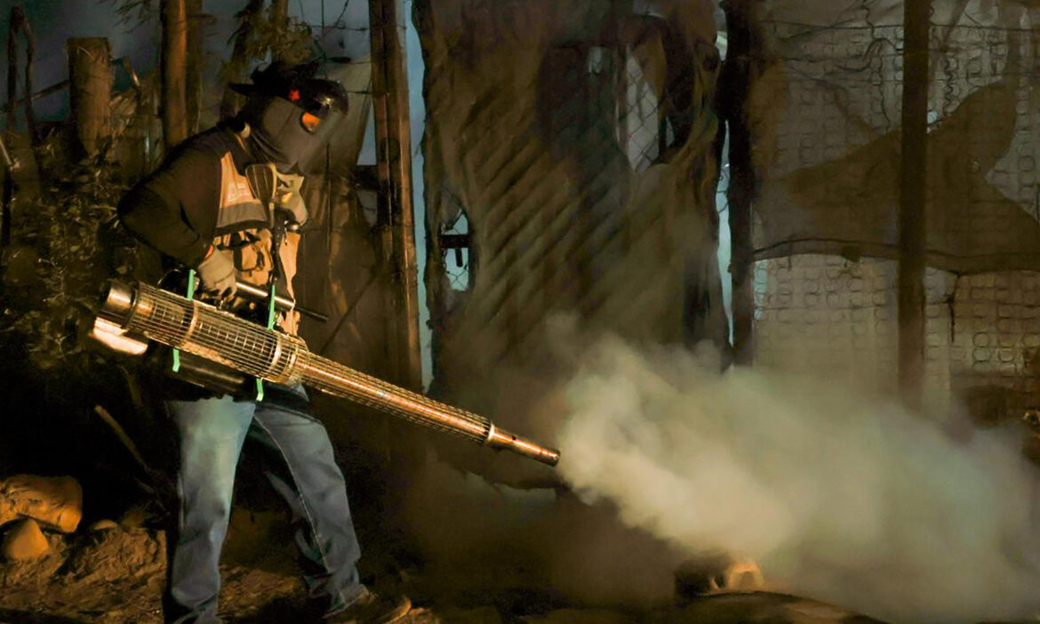 Mueren cinco por dengue en Sonora; la entidad se coloca en segundo lugar nacional