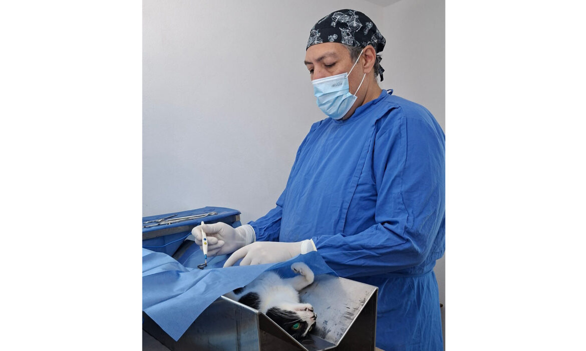 Esterilizan 47 animales de compañía en el Cecati en la colonia Villa de Seris