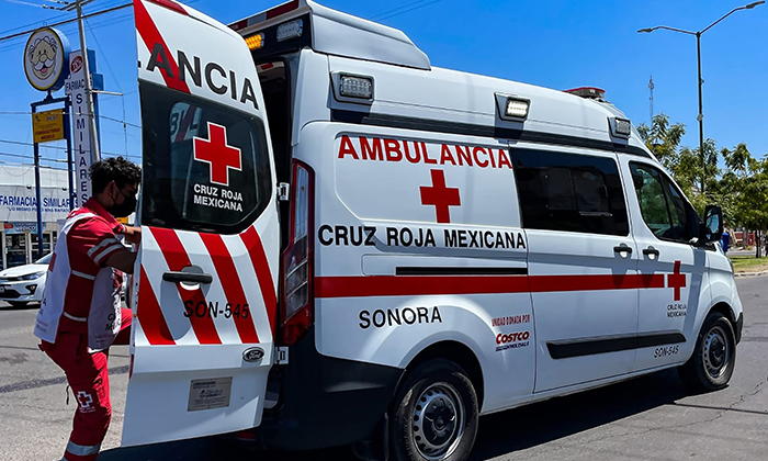 Trasladan a dos jóvenes picadas por abejas