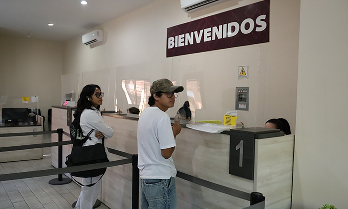 Renovará tarjetas de transporte públicos