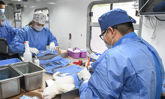 Realiza más de 17 mil esterilizaciones caninas y felinas