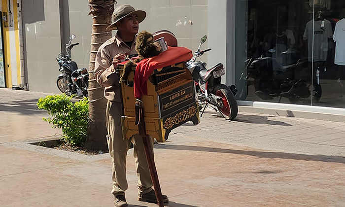Organilleros llevan su música a las nuevas generaciones durante recorridos por el país