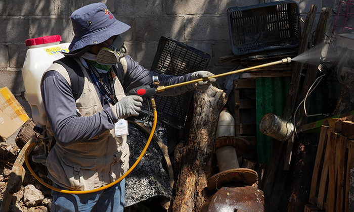 Niega Salud decesos por dengue