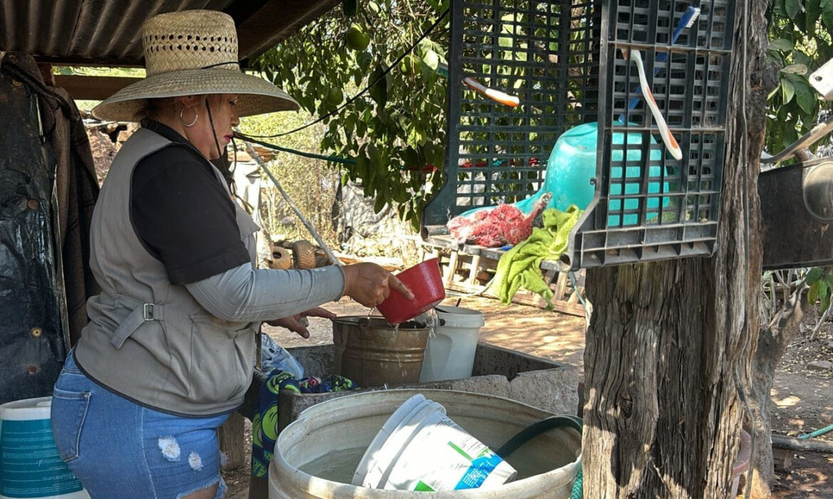 Secretaría de Salud reiteran llamado a prevenir rickettsia y dengue