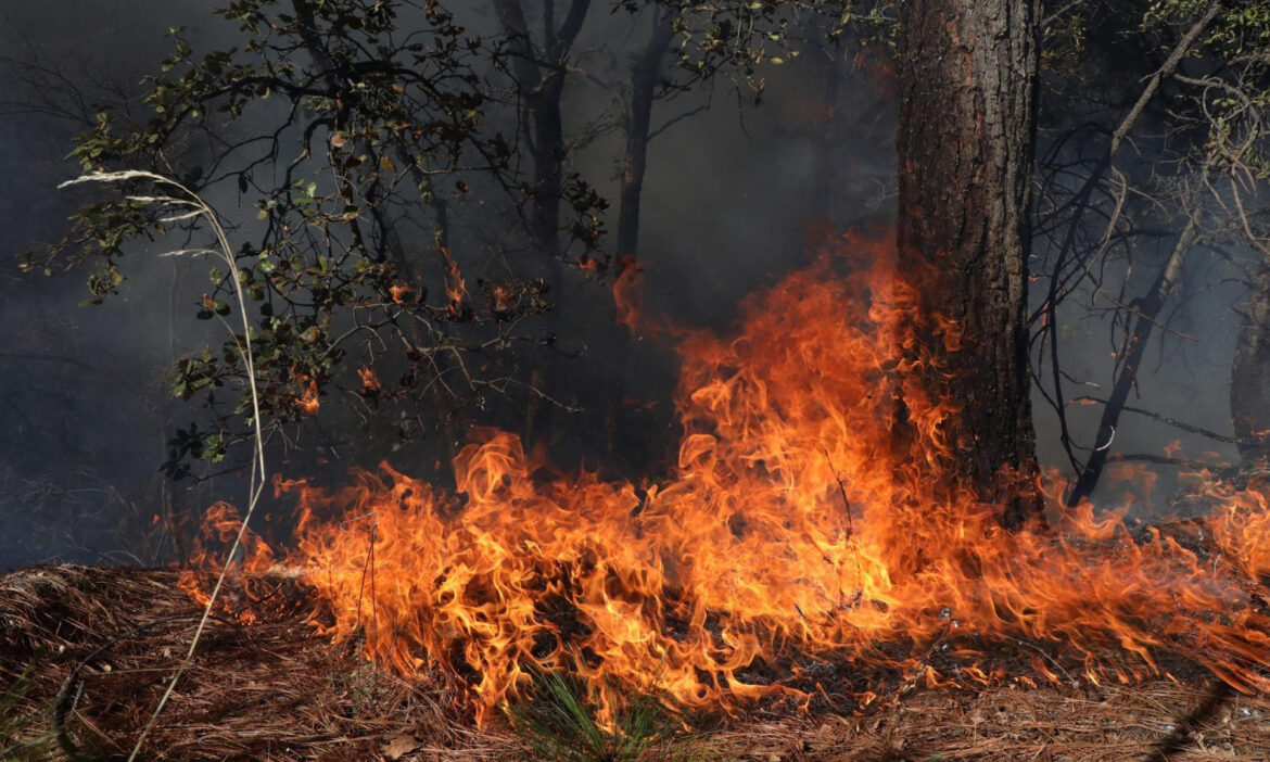 Se incendia predio en el sector Colinas