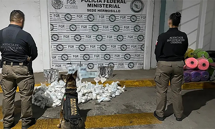 Hallan droga en empresa de paquetería en esta capital