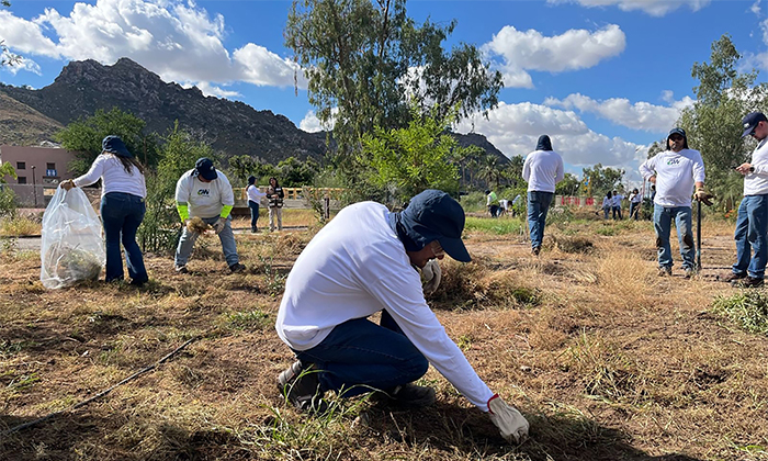 Avanza recuperación ambiental en La Sauceda
