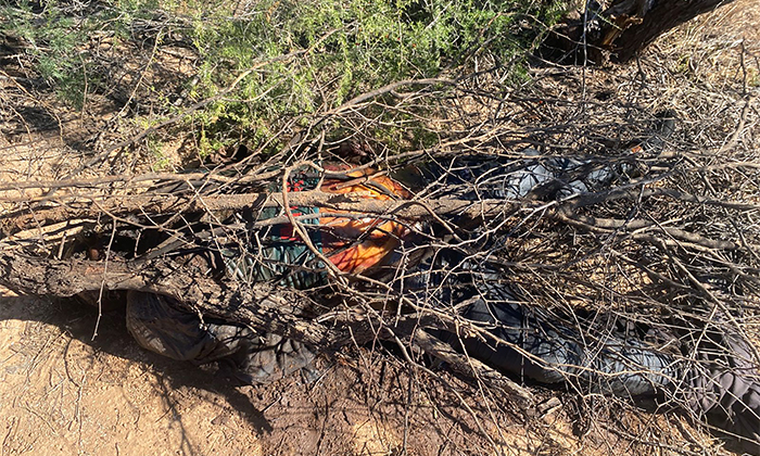 Localizan cadáver en descomposición