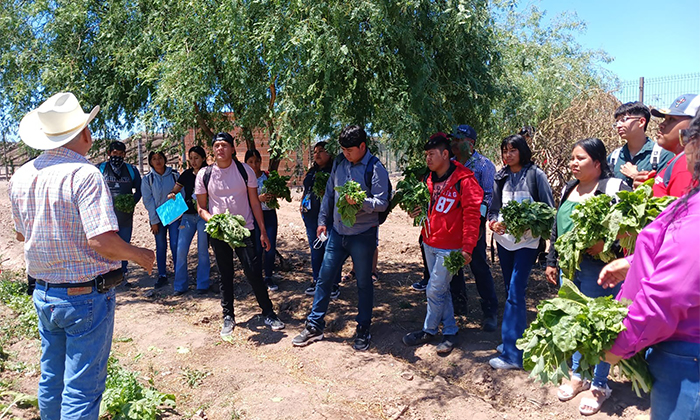 Fortalece modelo productivo de soberanía alimentaria; Universidad del Pueblo Yaqui