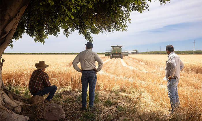 Llaman a trigueros a registrarse para recibir apoyos