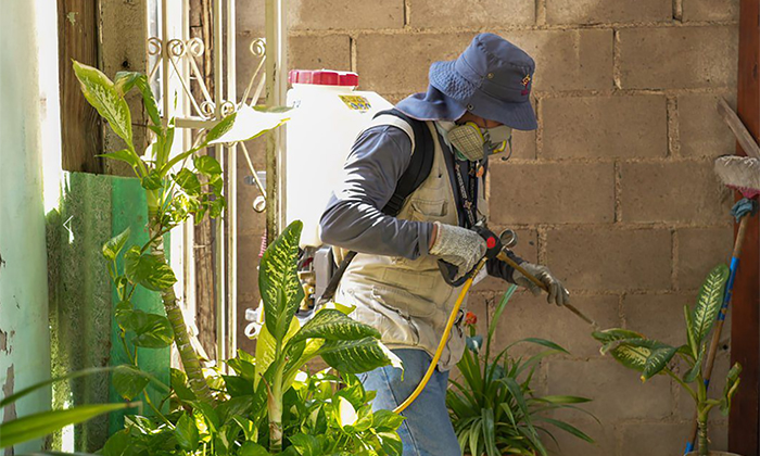 Van a la baja casos de dengue en Sonora