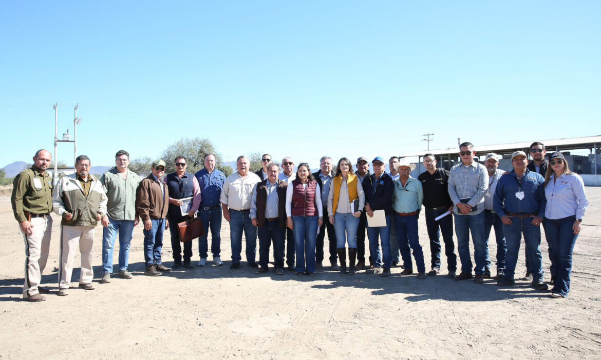 Buscan mantener alto estatus fitosanitario en Sonora