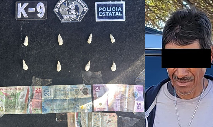 Detecta binomio K-9 a sujeto con droga en la colonia Sahuaro
