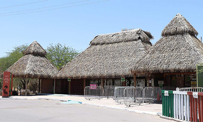 Reabrirá este año el acuario en Centro Ecológico de Sonora