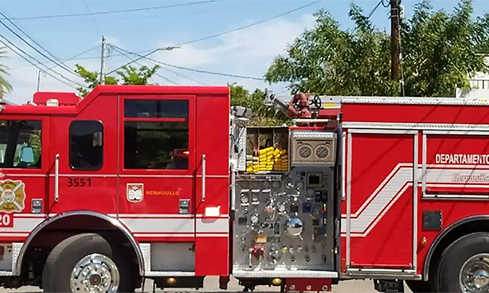 Ataque de abejas deja ocho lesionados al norte de la ciudad