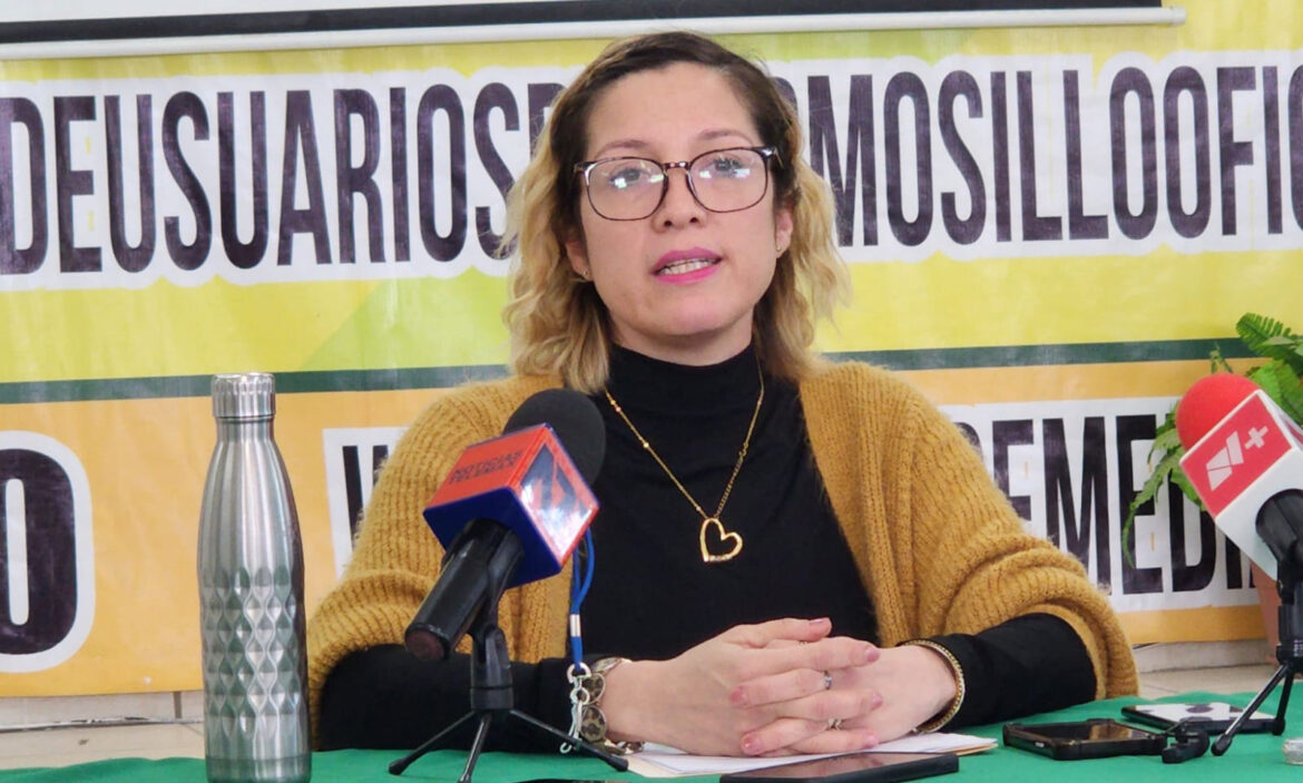 Ambientalistas piden fomentar cultura vial