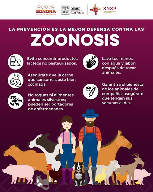 SSP Perritos sanos, familias protegidas: invitan a Clínicas Móviles para evitar enfermedades zoonóticas