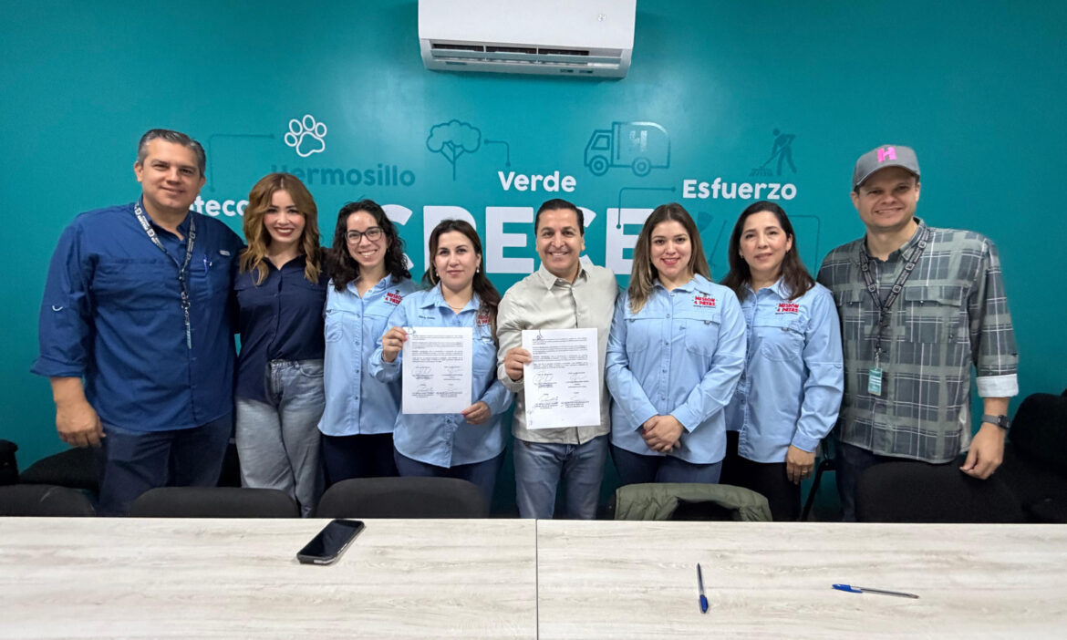 Gobierno Municipal de Hermosillo intensificará las esterilizaciones de perros y gatos