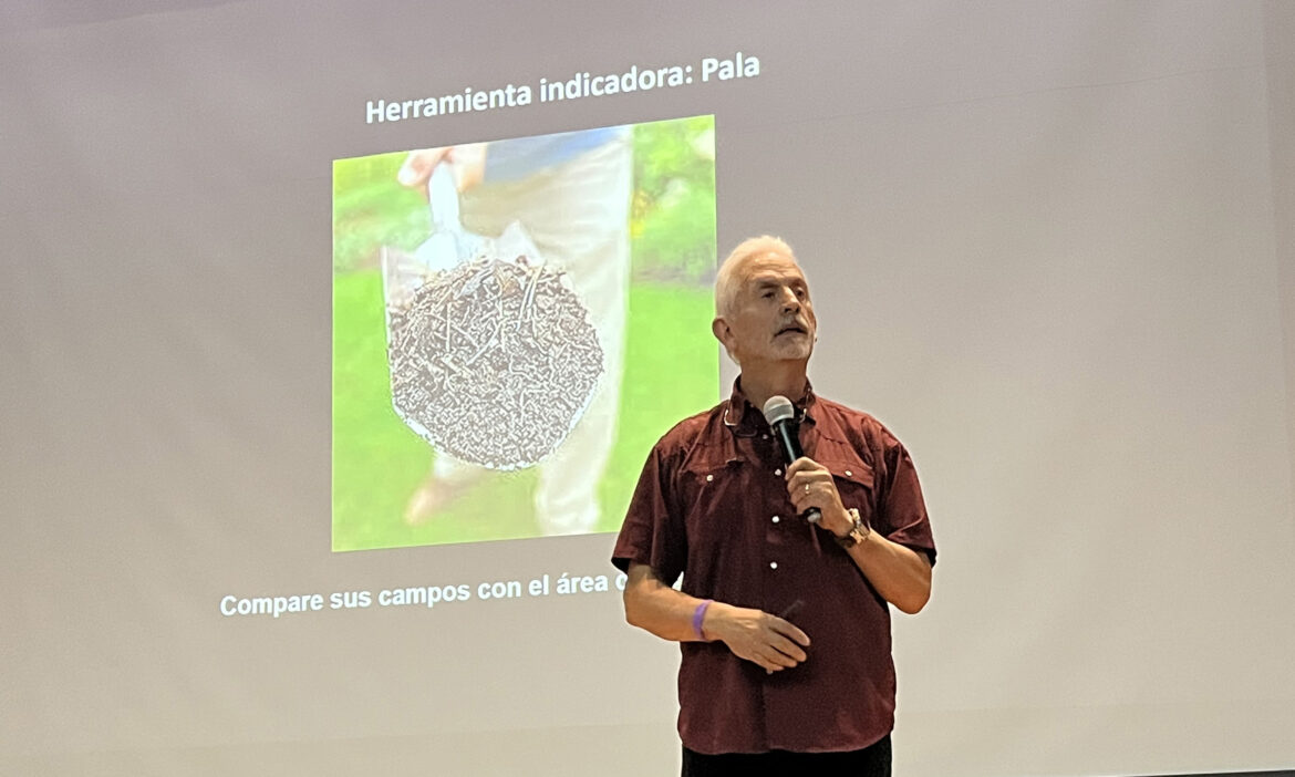 Falta de plantas favorece calor y sequía