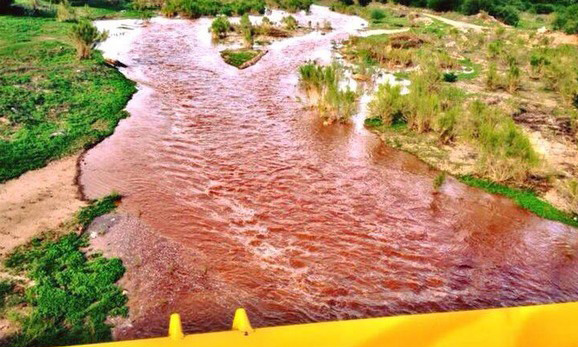 Grupo México paga 500 mdp para remediar daño ecológico