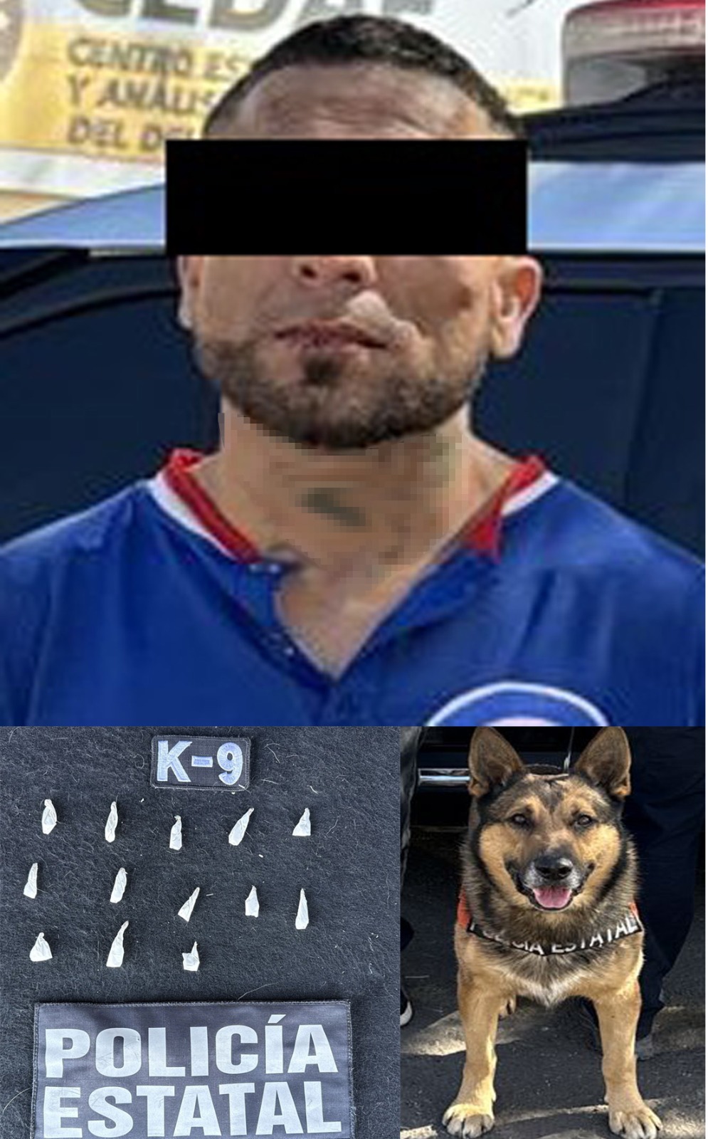 El ejemplar canino Zeusz, perteneciente a la unidad K-9, ha logrado con éxito la detección de narcóticos durante un operativo de seguridad en la ciudad de Hermosillo.