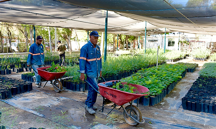 Convocan a Taller “Una Semilla X Hermosillo” para transformar la ciudad