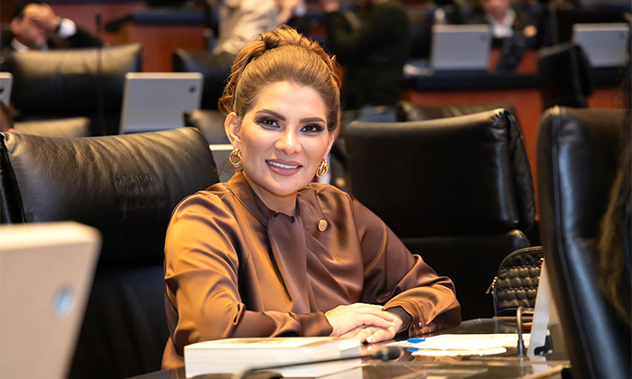 El Senado es clave para el segundo piso de la 4T