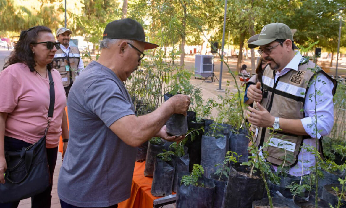 Donan mil árboles nativos por el Día del Árbol para promover la forestación de Hermosillo
