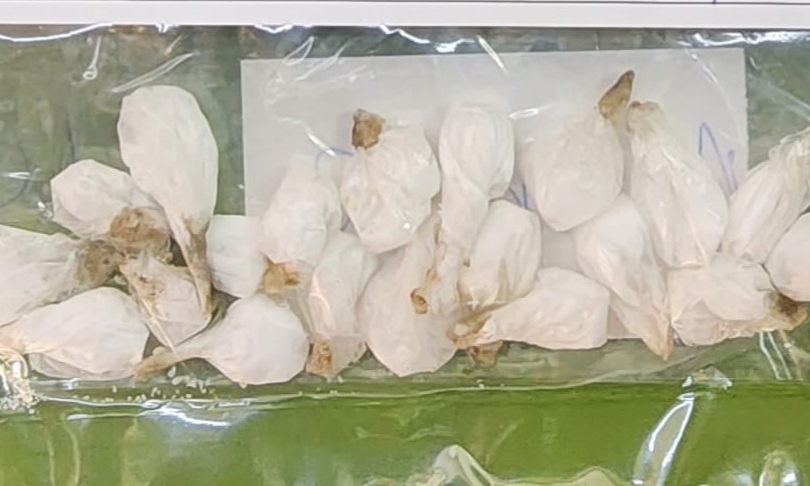 Apresan a dos hombres y una mujer con droga en distintas colonias