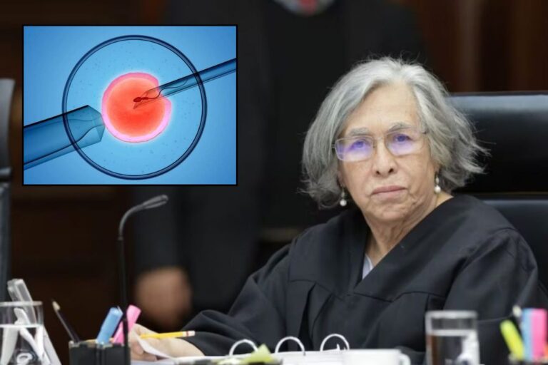 Diputada de MC propone proteger a nacidos por reproducción asistida