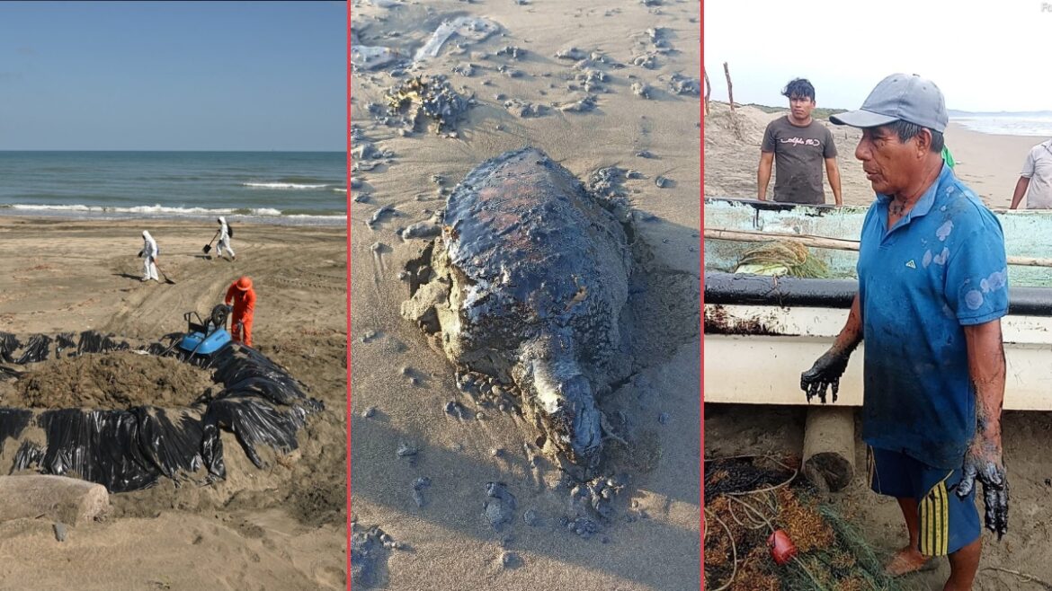 Manchas de hidrocarburo llegan a Tamaulipas tras derrame en Tabasco